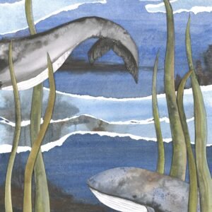 collage lg whales (sas scan) cropped