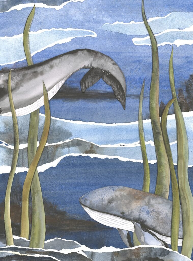 collage lg whales (sas scan) cropped