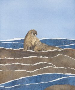 collage walrus (sas scan) cropped collage walrus (sas scan) cropped