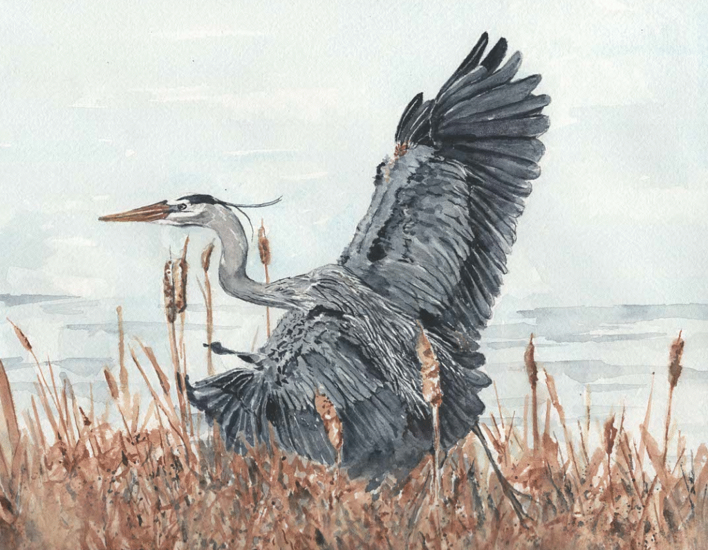 Changing course Changing course