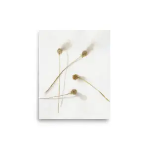 From Ella Watercolor Print