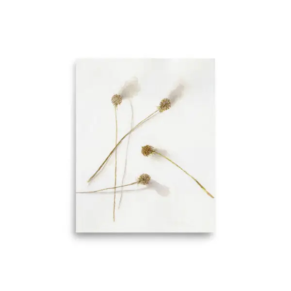 From Ella Watercolor Print