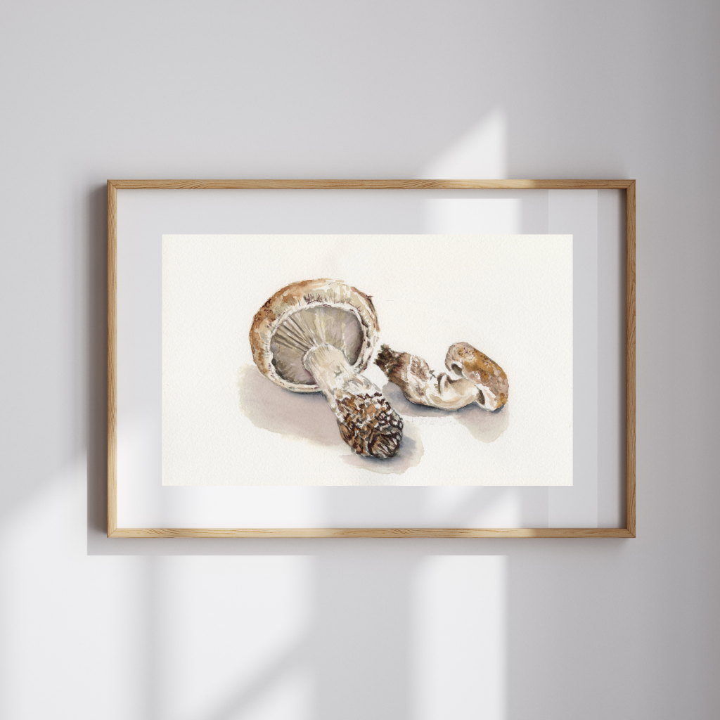 Mushroom Study Watercolor Print
