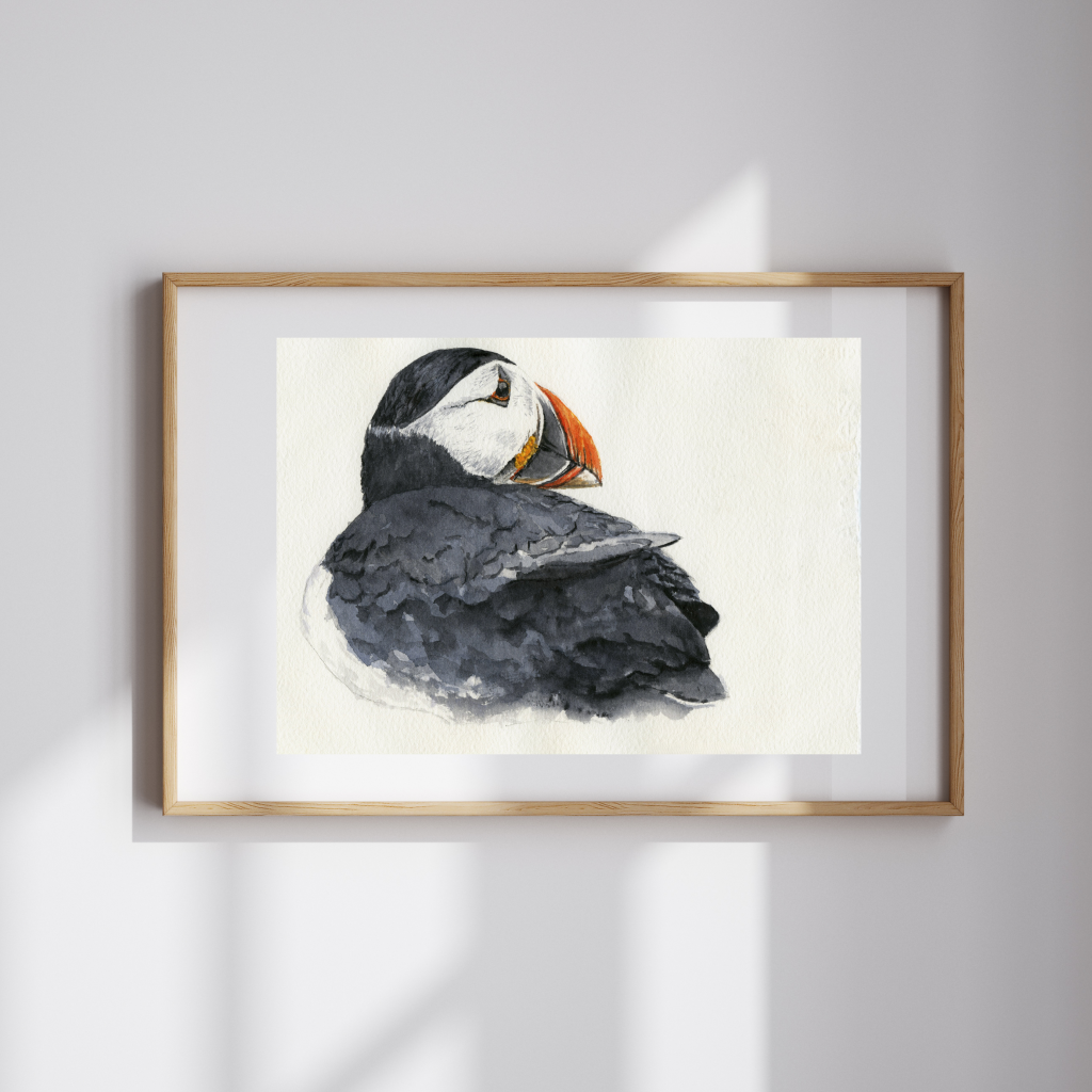 Puffin Along Watercolor Print