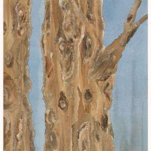 Barking Up The Right Tree