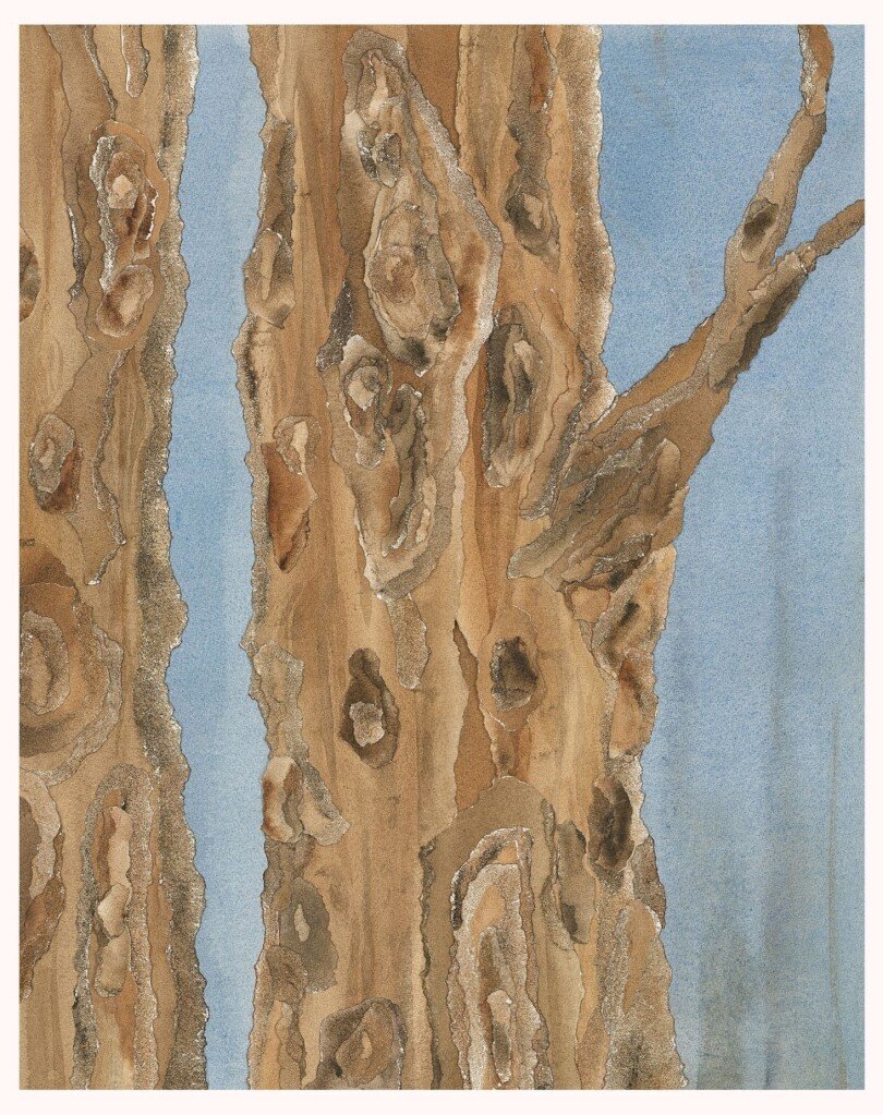 Barking Up The Right Tree