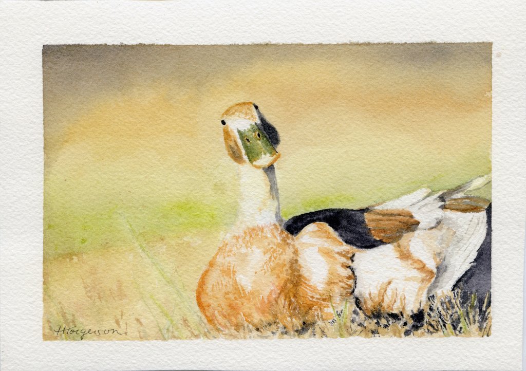 Bill Original Watercolor: Available