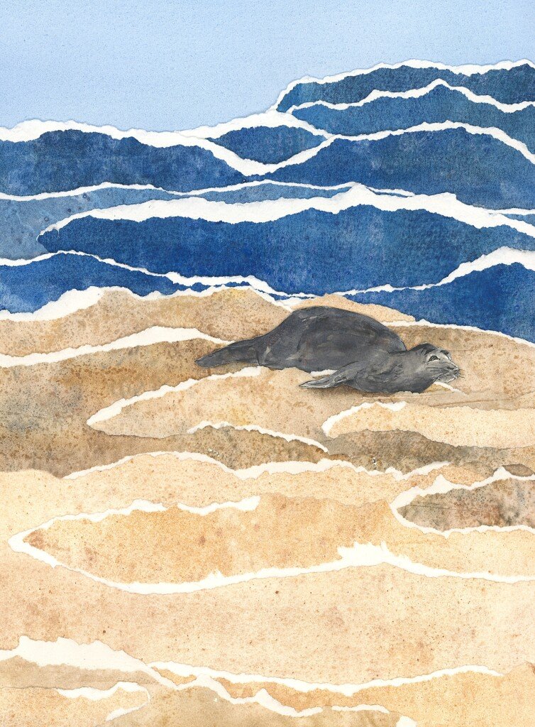 Sand and Surf